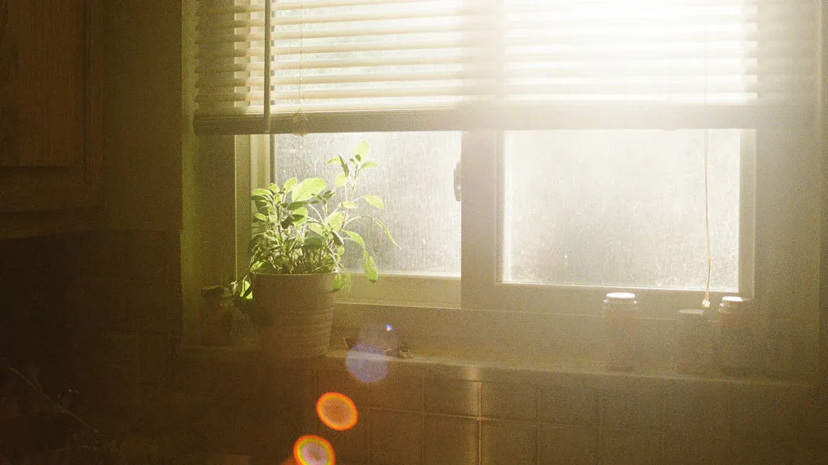 Light Control and Privacy